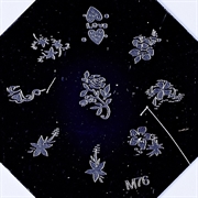 Stempelplade nailart stamping med blomster